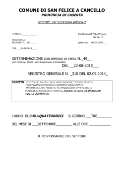 duemilaquattordici - Comune di San Felice a Cancello