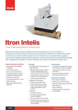 Itron Intelis