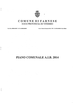 Download Piano A.I.B. 2014 (Pdf - 671 Kb)