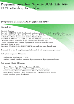 Il Programma.