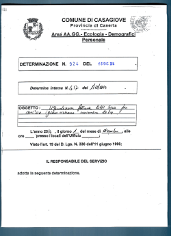 Determina Dirigenziale n. 924 - 2014