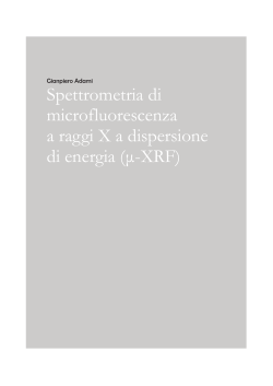 Spettrometria di microfluorescenza a raggi X a