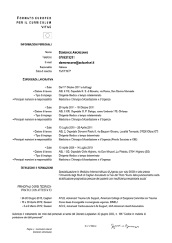 Amoresano Domenico CV [file]