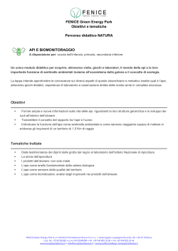 Obiettivi e tematiche delle tappe didattiche