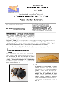 comunicati - Asp Catania
