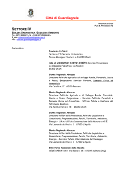 indizione conferenza dei servizi