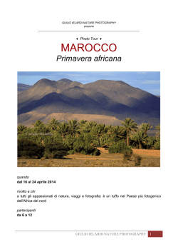 Download File - Giulio Ielardi