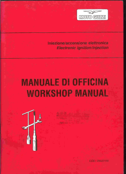 Iniezione ed Accensione Elettronica (pdf 5 mb)