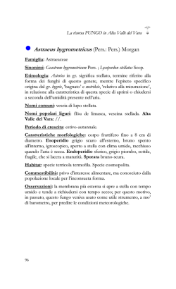 La Risorsa Fungo in Alta Valle del