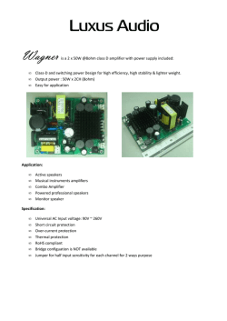Wagner is a 2 x 50W @8ohm class D amplifier with