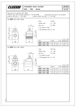 09_903 Model (1)
