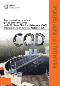 Scarica la pubblicazione (pdf - 5.08 mb)