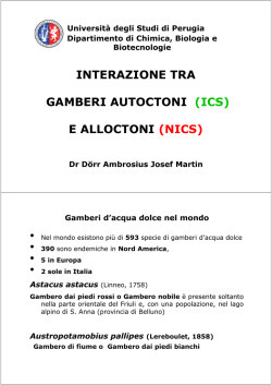 interazione tra gamberi autoctoni (ics) e alloctoni (nics)