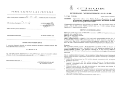 PUBBLICAZIONE ALBO PRETORIO