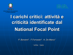 I carichi critici: attività e criticità identificate dal national focal
