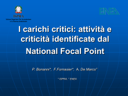 I carichi critici: attivit&agrave; e criticit&agrave; identificate dal national focal