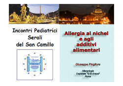 4) Giuseppe PINGITORE - Azienda Ospedaliera S.Camillo