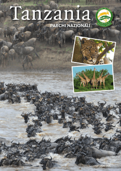 PARCHI NAZIONALI - Tanzania National Parks