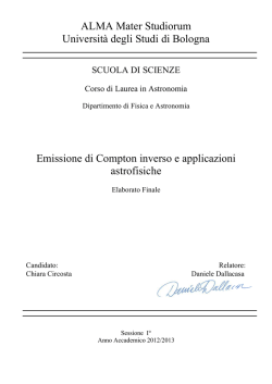 Documento PDF - AMS Tesi di Laurea