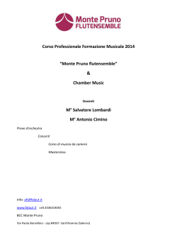 Corso Professionale Formazione Musicale 2014 “Monte Pruno