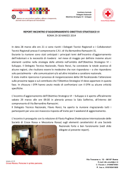 Report 1.1 - Croce Rossa Italiana