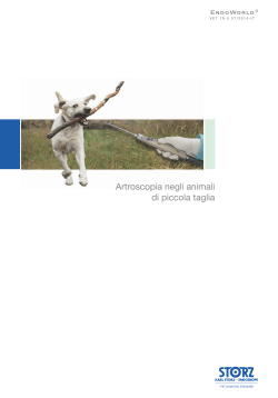 Artroscopia negli animali di piccola taglia (PDF | 1.1 MB)