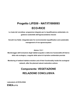 download 20141103175232_Relazione Monitoraggio componente