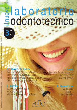 NLO - Antlo