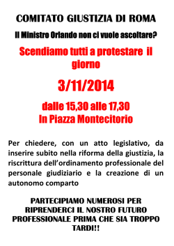Volantino manifestazione 3-11-2014