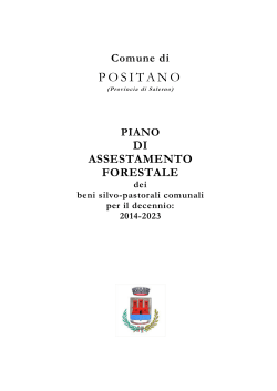 Piano_di_Assestamento_Positano [download]