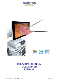 relazione tecnica colonna 3d exera iii