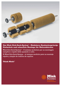 Descarga - Mink Bürsten