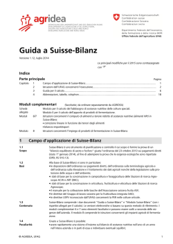 Guida a Suisse-Bilanz
