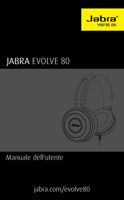 JABRA EVOLVE 80