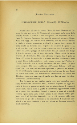 ECHINODERMI DELLA SOMALIA ITALIANA