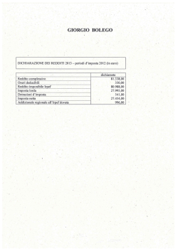 Dichiarazione dei redditi e stato patrimoniale 2013