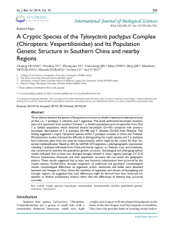 A Cryptic Species of the Tylonycteris pachypus Complex (Chiroptera