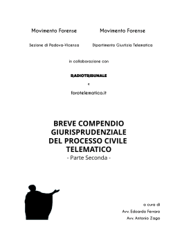 Breve Compendio Giurisprudenziale Del Processo Civile Telematico