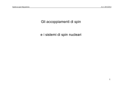 Gli accoppiamenti di spin ed i sistemi di spin nucleari