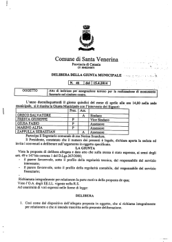 Delibera n. 46/2014 - Gazzetta Amministrativa