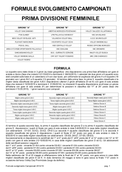 Formula Campionato FIPAV Prima Divisione