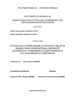 Documento PDF - AMS Tesi di Dottorato