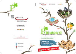 Cartina di Lanusei