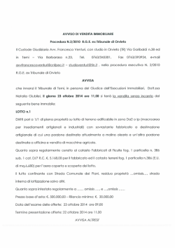 Il Custode Giudiziario Avv. Francesco Venturi, con studio in Orvieto