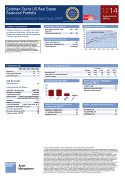Goldman Sachs US Real Estate Balanced Portfolio