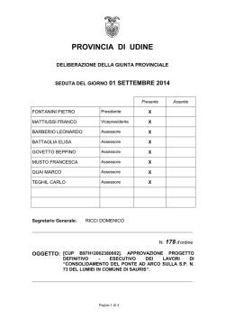 PROVINCIA DI UDINE