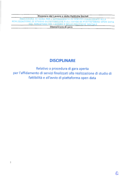 Disciplinare di gara - Ministero del Lavoro e delle Politiche Sociali