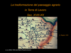Iacono: Paesaggio agrario in Terra di Lavoro