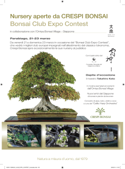Bonsai Club Expo Contest