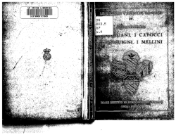 Grandi famiglie romane, IV